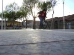 DSC00377.jpg
