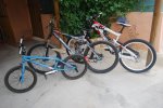 misbicis 018.jpg