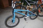 misbicis 020.jpg
