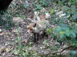 DSC06660.JPG