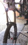 2009boxxer1jt3.jpg