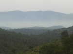 m_100_8450.jpg