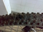 25042009420.jpg