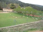 DSCF2427.JPG