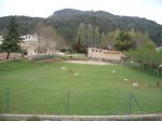 DSCF2428.JPG