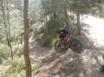 DSC00685.jpg