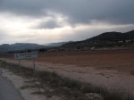 DSCF2291.JPG