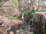 DSCF2346.JPG