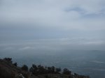 DSCF2397.JPG