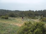 DSCF2374.JPG