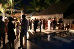 the-party[1].jpg