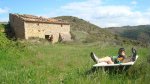DSC02579.jpg