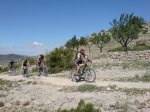 DSC00716.jpg