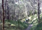 26042009245.jpg