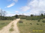 Collado Mediano (26).jpg