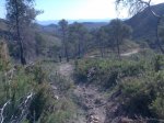 Imagen015.jpg