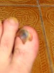 010.JPG