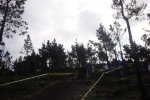 DSC00877.jpg