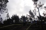 DSC00879.jpg