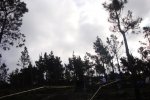 DSC00881.jpg