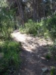 DSC03693.JPG