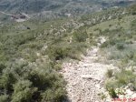 DSC00392.JPG