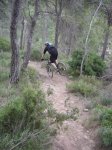 DSC07575.JPG