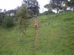 TRENCADUR 26-4-2009 005.jpg