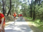 DSC00560.jpg