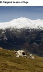 puigmal des del Taga.jpg