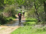190409mtb 009.jpg