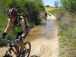 250409mtb 030.jpg