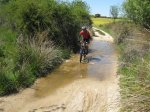250409mtb 031.jpg