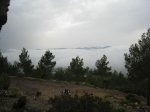 IMG_5758comp.jpg