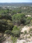 MTB El Pardo 25Abr09 con Pakets 003 [1024x768].JPG