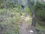 DSC07534.jpg