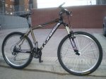 IMGP0503.JPG