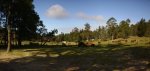 Panorama.jpg