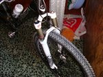 DSC00528.jpg