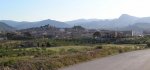 P4268523_resize.jpg