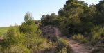P4268529_resize.jpg