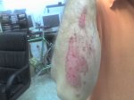 29-08-06_1930.jpg