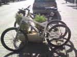 DSC01484.jpg
