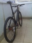 IMG00336.jpg