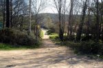 DSC03176.jpg