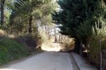 DSC03177.jpg