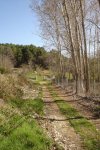 DSC03179.jpg