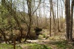 DSC03180.jpg