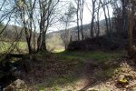DSC03181.jpg