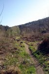 DSC03182.jpg